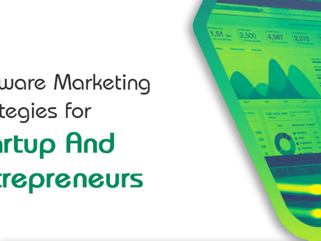 Common Parameters of Software Marketing Strategies for Startup and Entrepreneurs