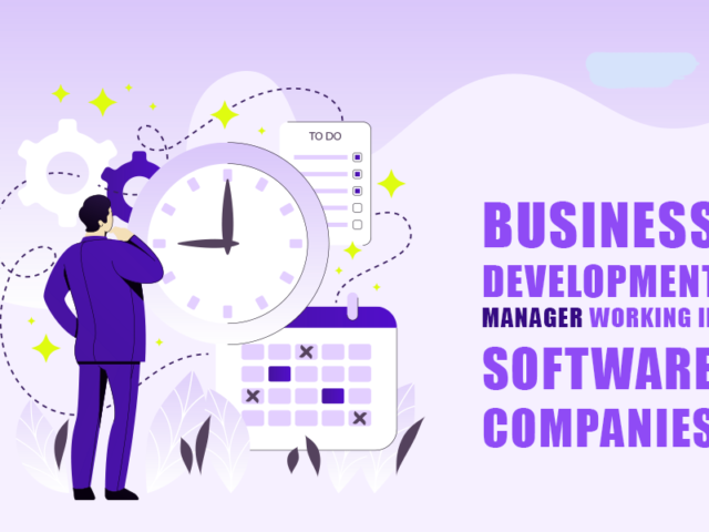 How is business development manager working in software companies?