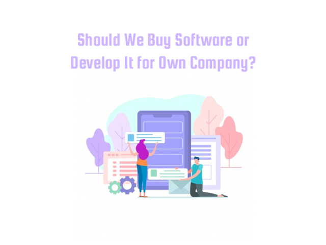 Should We Buy Software or Develop It for Own Company?